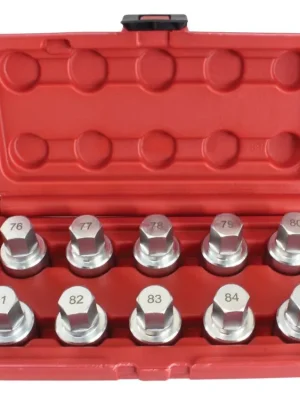 Levný Sada nástrčných klíčů pro zajištění matic kol na vozech Tesla, 10 ks - ASTA - MojeDílna